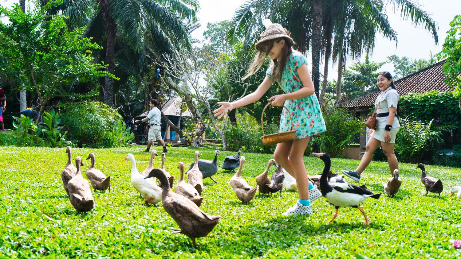 巴厘岛吃喝攻略,巴厘岛闺蜜