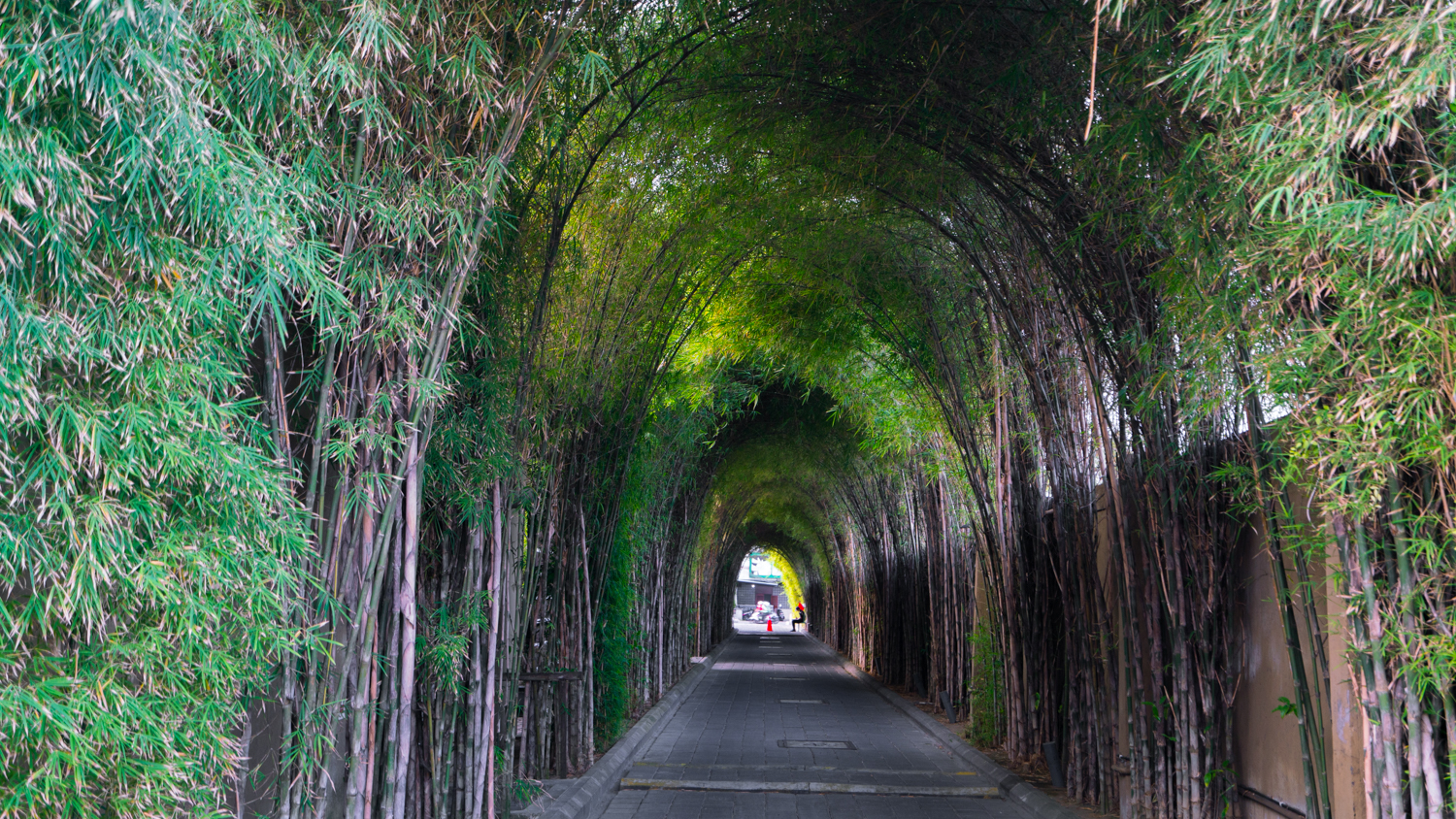去巴厘岛跟团好不好,巴厘岛跟团游最佳攻略