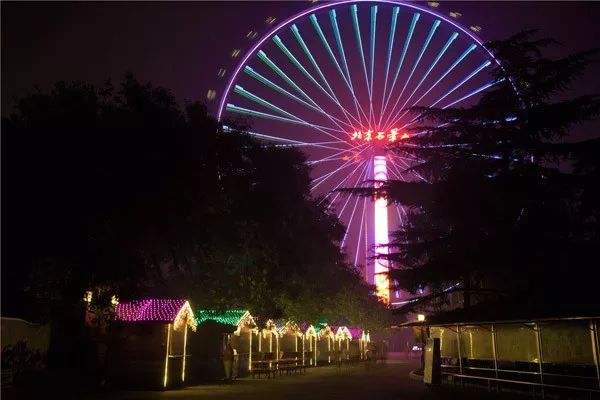 星海夜场摩天轮,花海夜场摩天轮