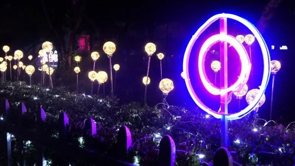 星海夜场摩天轮,花海夜场摩天轮