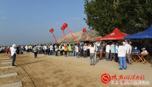 合阳洽川黄河湾,合阳钓鱼大赛
