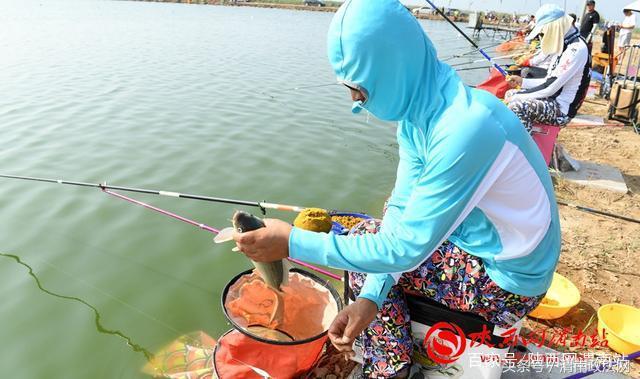合阳洽川黄河湾,合阳钓鱼大赛