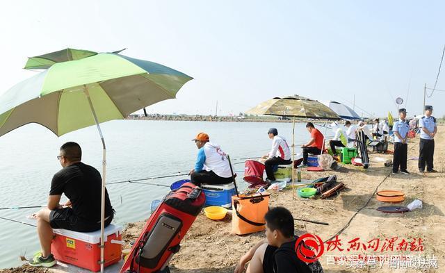 合阳洽川黄河湾,合阳钓鱼大赛