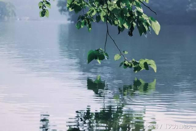 桐庐这些如诗画般高颜值精品民宿,桐庐有哪些隐藏的民宿