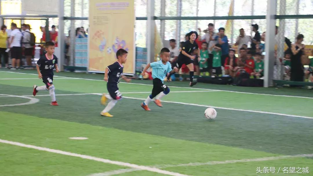 全国幼儿足球交流会,全国幼儿足球交流大会