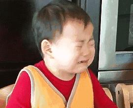 合肥各区最好的双学区,合肥六区最好的小区房