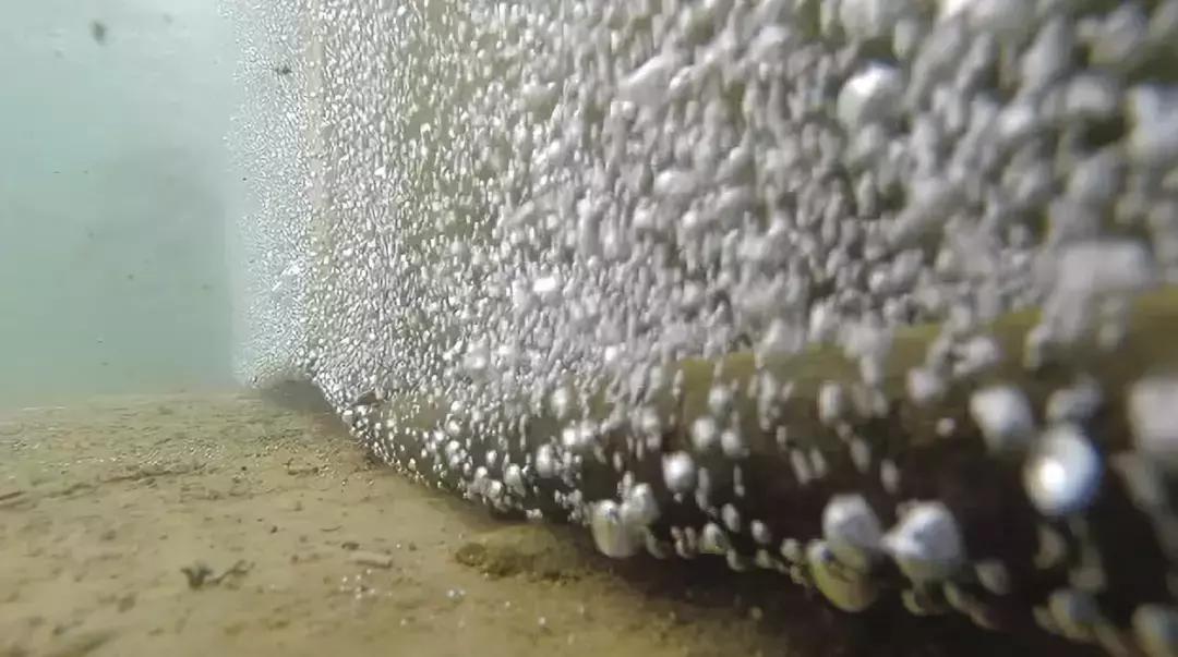 夏季鱼塘鱼都死了怎么办,下雨时鱼塘怎么管理鱼多