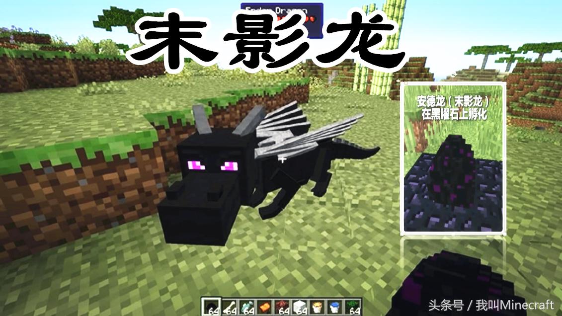 我的世界龙蛋怎么孵化一点就消失,我的世界龙蛋怎么孵化一点就不见