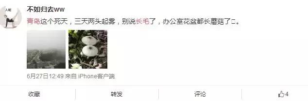 全长毛了！今年青岛这么潮竟是因为……除湿办法全在这，亲测有效