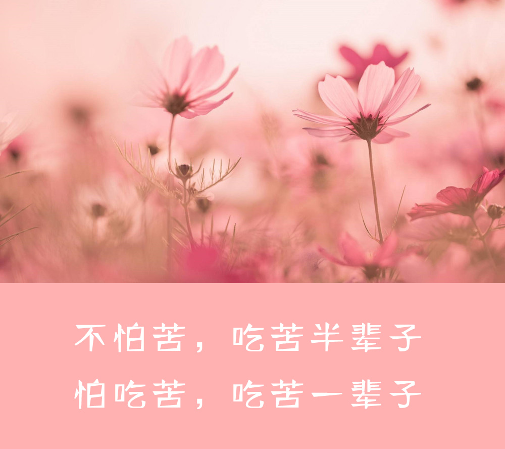 聪明人不交朋友的三个表现,聪明人不与这三种人深交