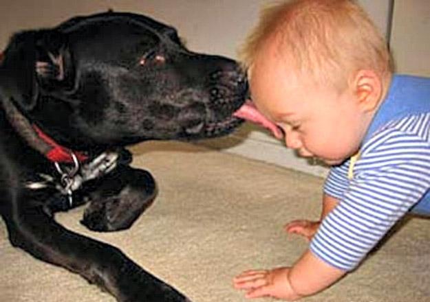 一位教授给孩子批改作业,一个老师给学生发试卷