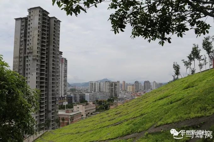 台湾人眼中的贵州有多大,台湾人眼中的涪陵