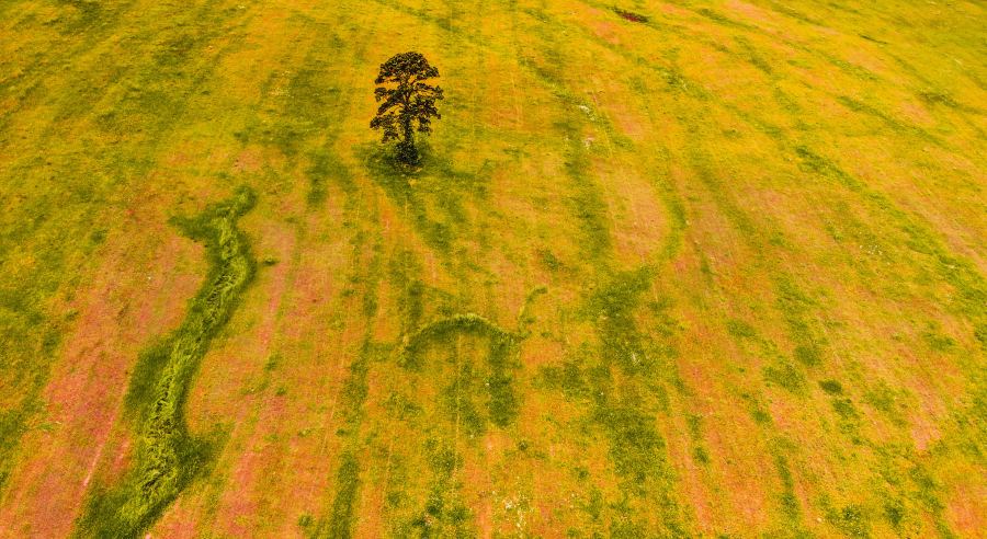 作文写作方法与技巧1-5年级,话题作文的写作方法技巧和范文