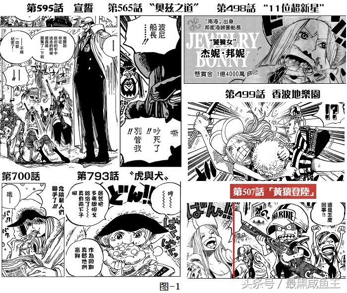 海贼王草帽团最后一人会是波尼吗,海贼王波妮能力