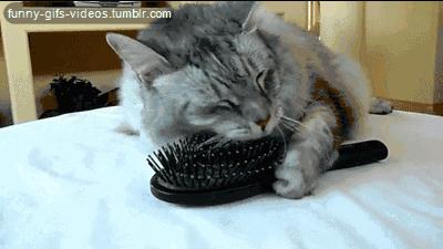 头痒头油多用什么洗发水能治,头痒头油还长痘痘洗什么洗发水