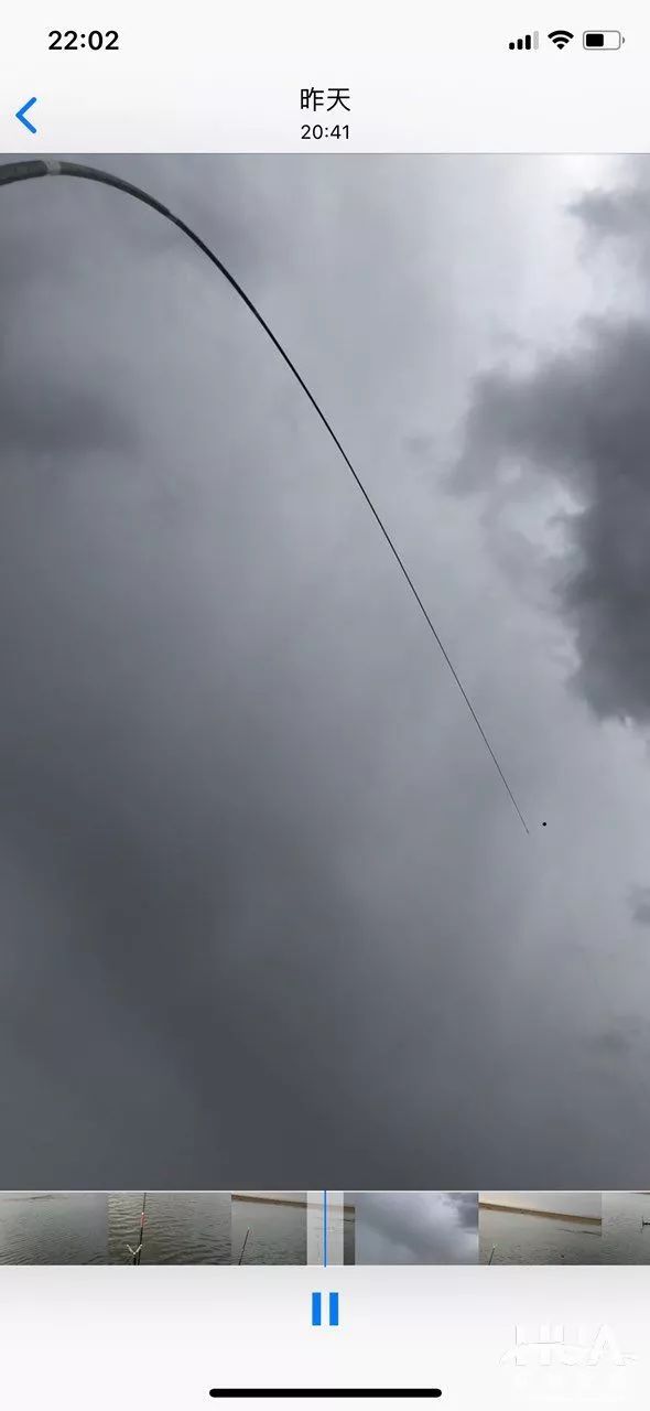 人打窝了,手机也掉水里了,终于把这大家伙弄上来了!