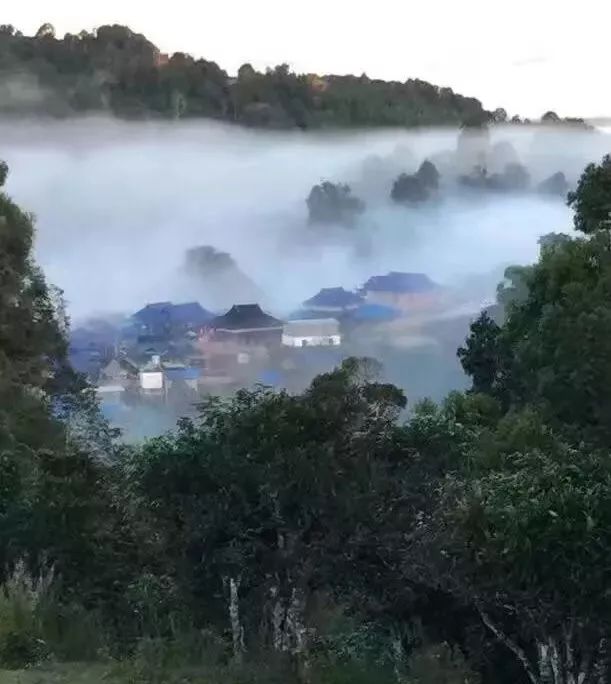俗称“八八青饼”,国营勐海茶厂1989年7542普洱茶之神话