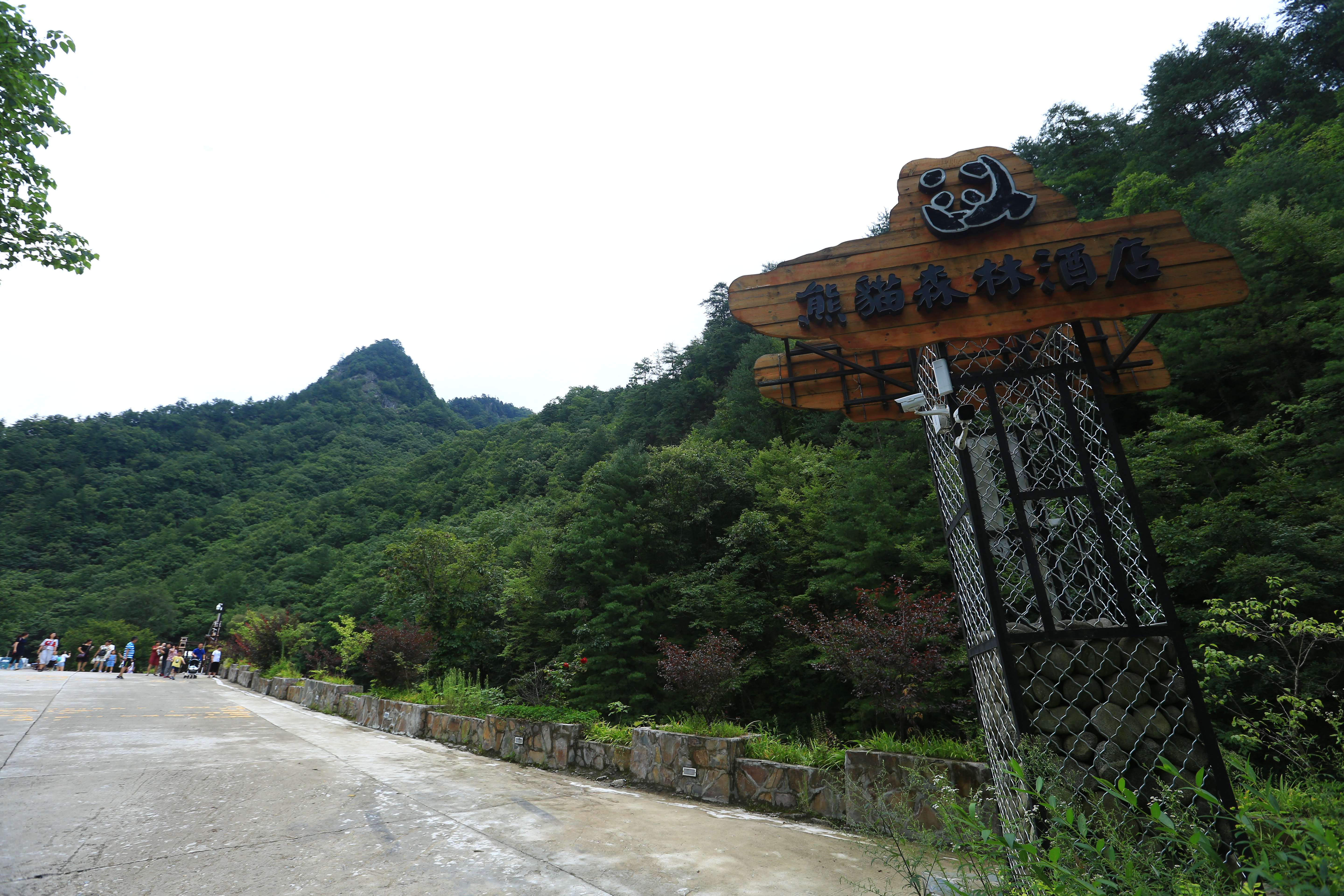 西安出发4小时避暑胜地,西安熊猫谷旅游