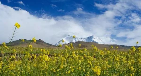 在路上迷人的风景,在路上的美景