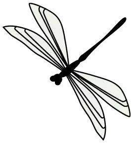 户外强光手电怎么用,户外探索手电哪一点重要