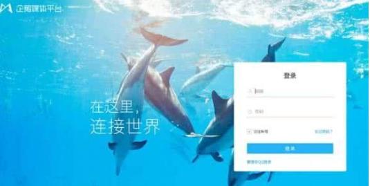 怎样申请头条账号做自媒体,如何注册有收益的自媒体账号