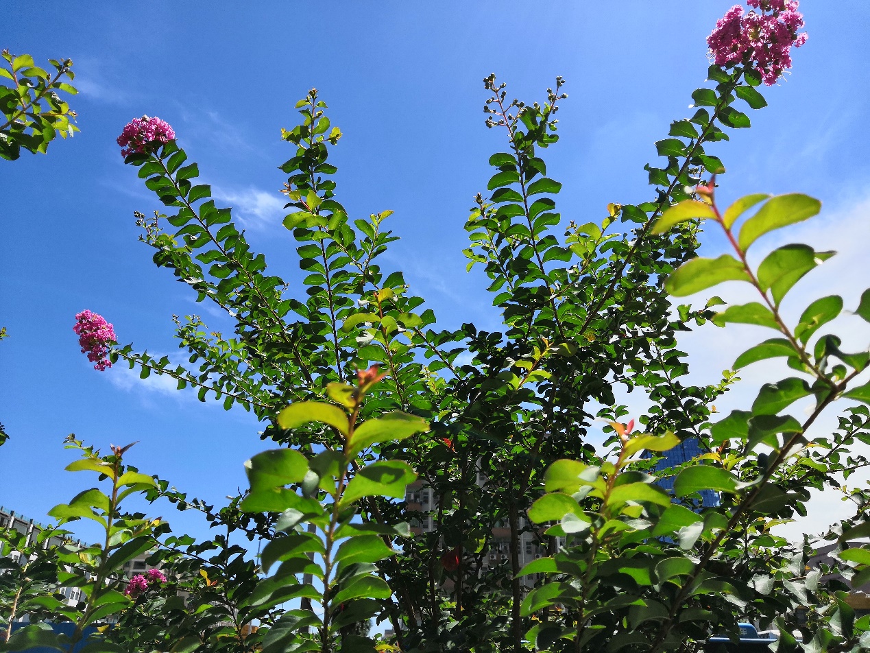 荣耀note10缺点和不足,荣耀note10的缺点是什么