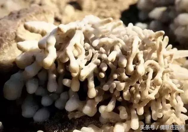 死海，就快要“死”了，再不去，可能真的来不及了！