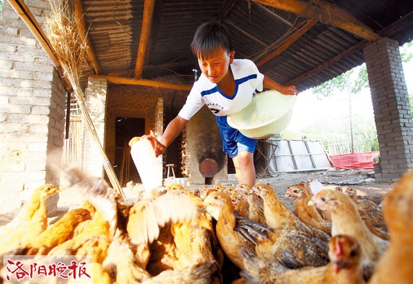 洛阳贫困户用饲料桶圈儿做成篮球筐圆儿子的篮球梦