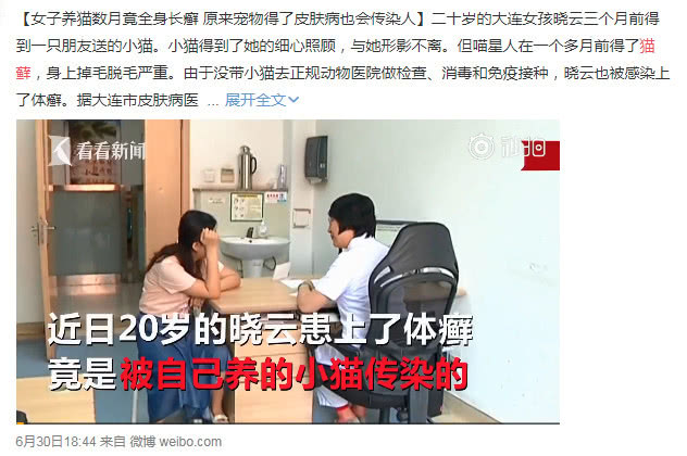 猫癣反反复复好不了怎么办,如何确定猫癣痊愈了