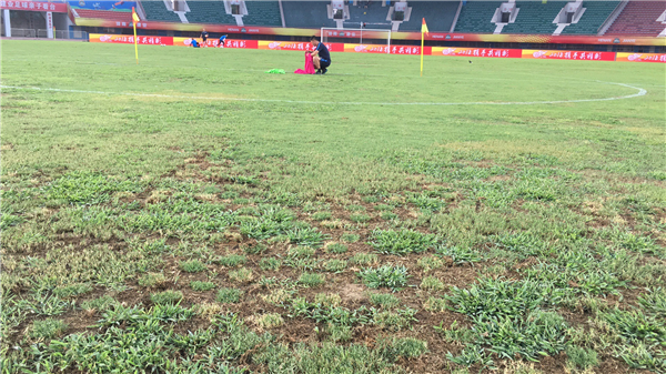 河南建业菜地,河南建业专业足球场最新消息