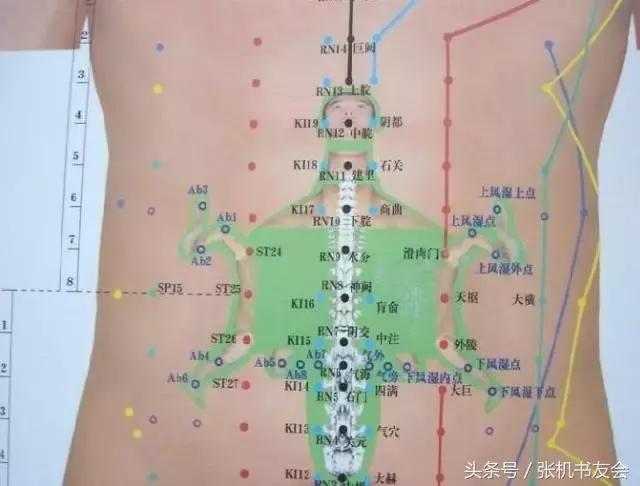 针灸按摩全息图（收藏版）