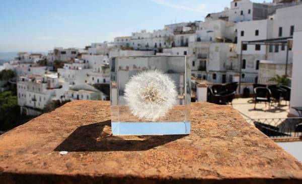 礼物篇：实用又有逼格的物品共享