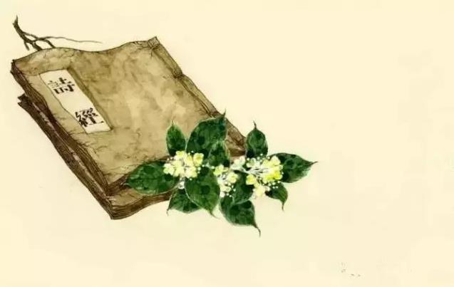 诗经里美好的事物,诗经中可以吃出来的美好