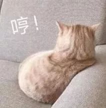 楂樻竻澶у浘鍥惧簱,鍥惧簱澶у叏楂樻竻澶у浘