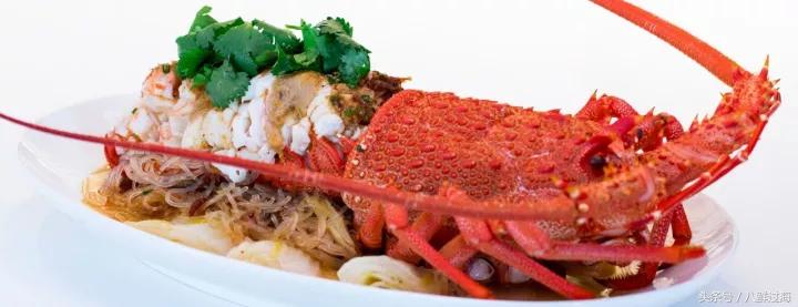 新西兰红色岩龙虾,新西兰岩龙虾介绍