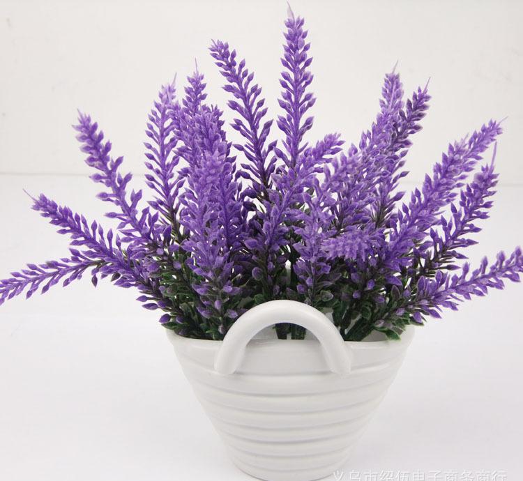 薰衣草怎么开花最香又好看,薰衣草开花方法步骤图