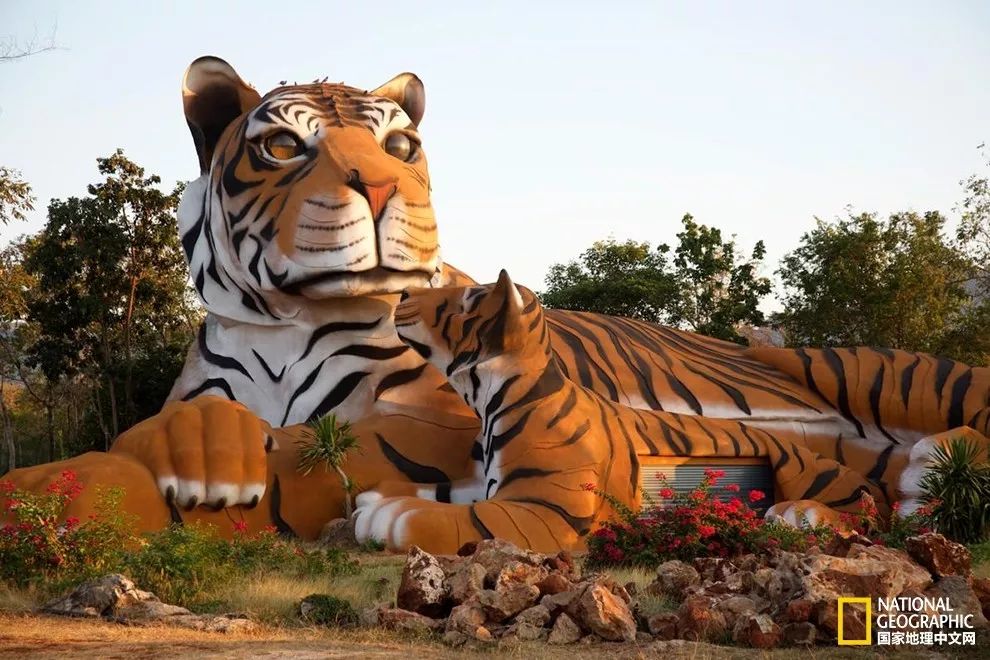 “谢谢你们，我们终于快死光了”