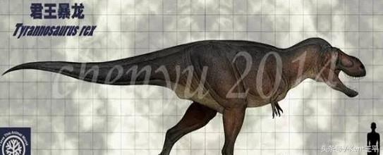 霸王龙的天敌食肉恐龙,巨型食肉牛龙对战霸王龙