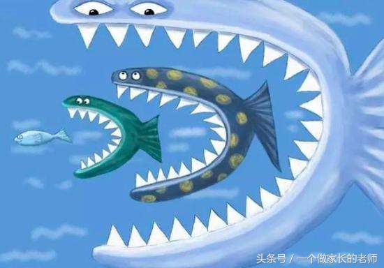 拼多多上巴宝莉为何如此便宜,殊途同归罢了