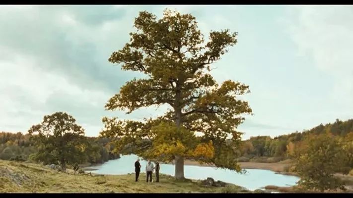 性冷淡风格北欧,北欧风治愈电影推荐