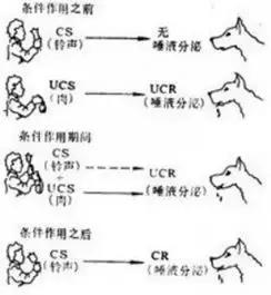 为什么点眼药水嘴巴要张开,滴眼药水为什么