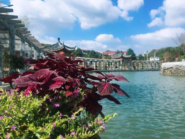 乡村休闲旅游十大模式,桃源县高湾村