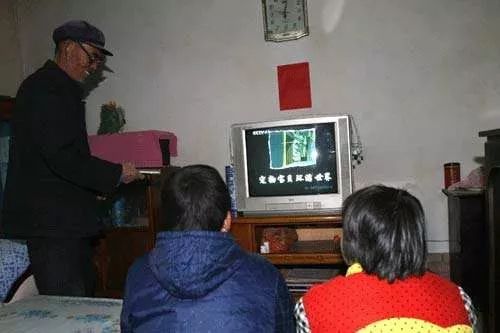 某多多，是不是有某宝早年的影子……