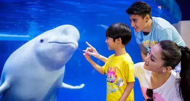 暑期陪娃游长隆海洋王国,这个暑假去珠海海洋王国多人吗