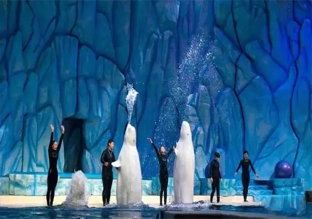 暑期陪娃游长隆海洋王国,这个暑假去珠海海洋王国多人吗