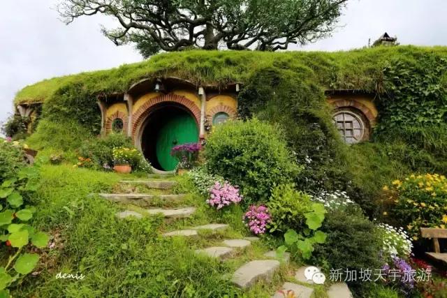 新西兰纯净之旅,10天时间旅游攻略