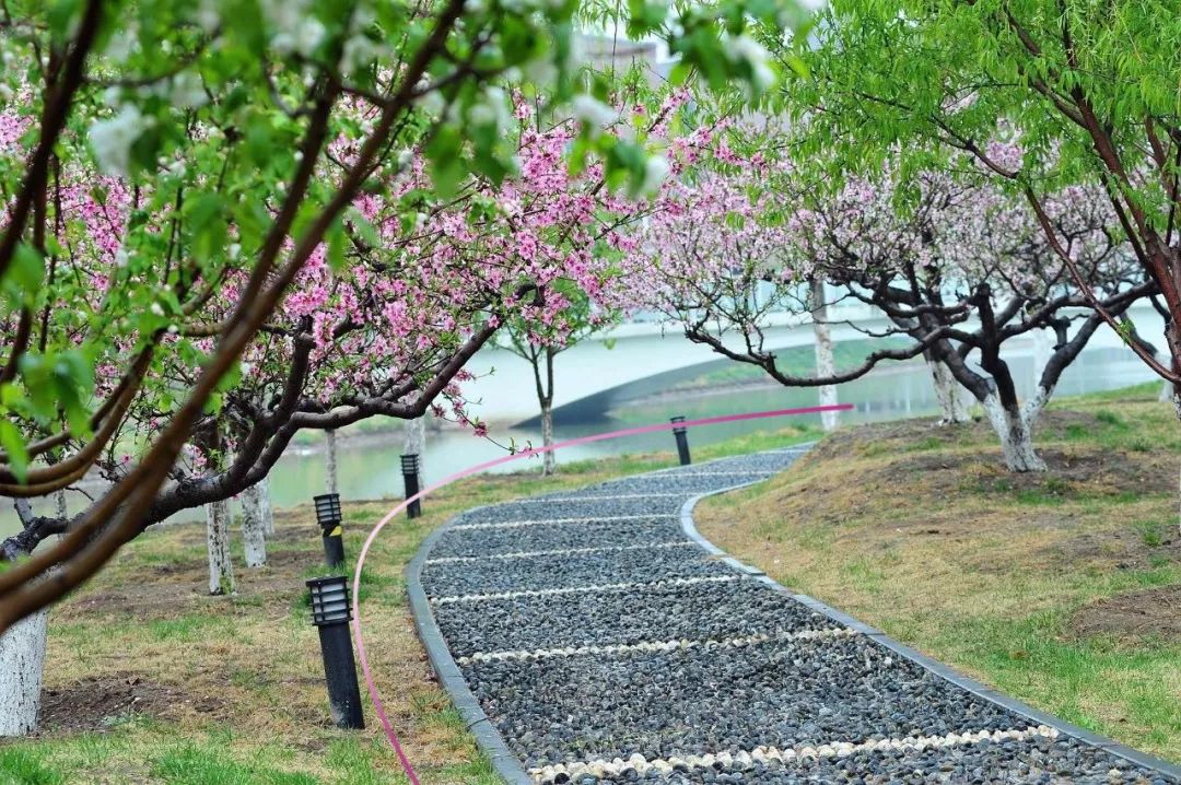 于数学中发现天大之美