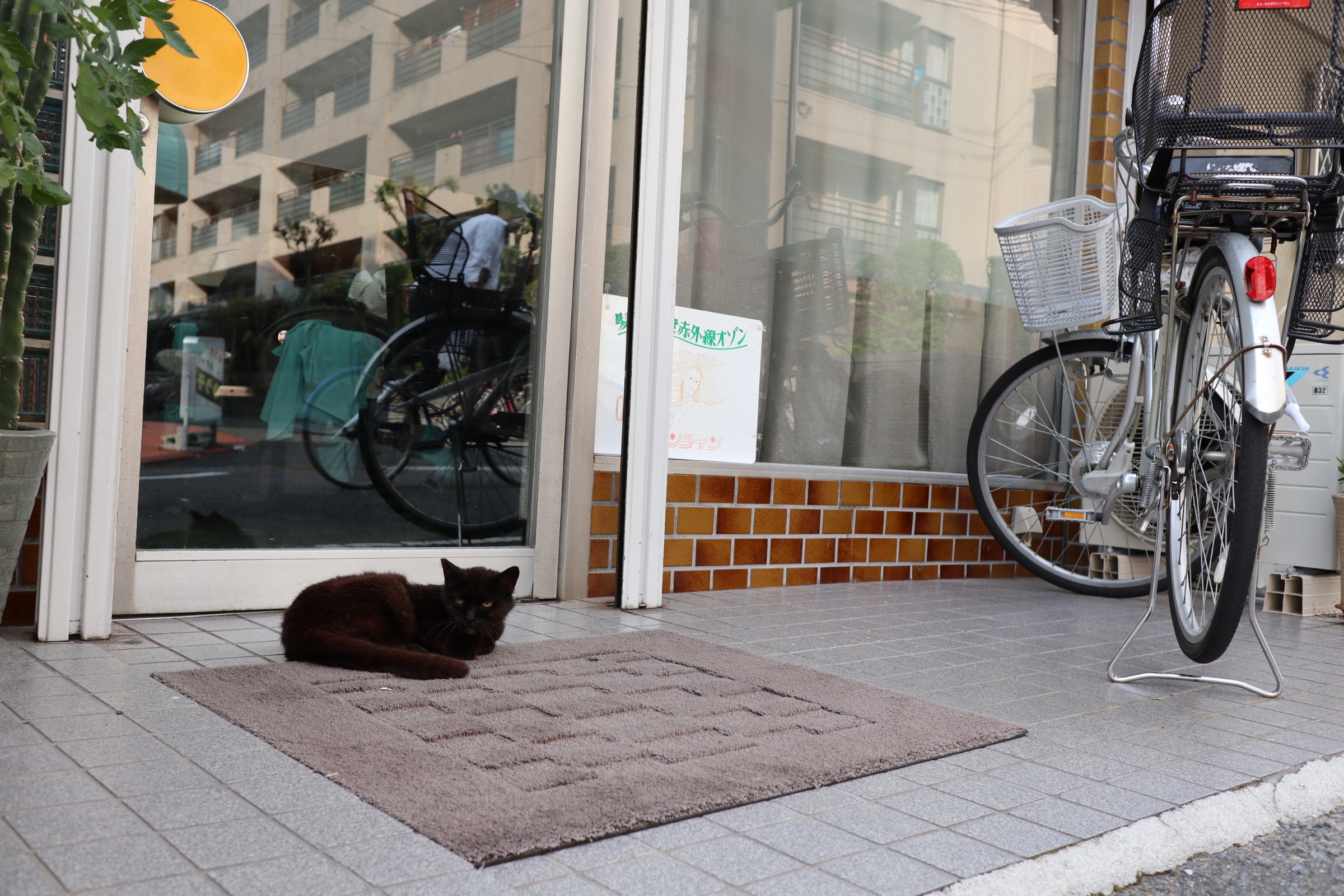 日本适合生活么,日本的习惯和生活