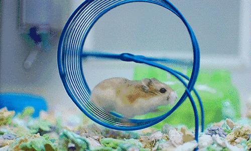 「哈哈」千万别看这些智障小说！哈哈哈哈哈哈哈哈哈哈哈……