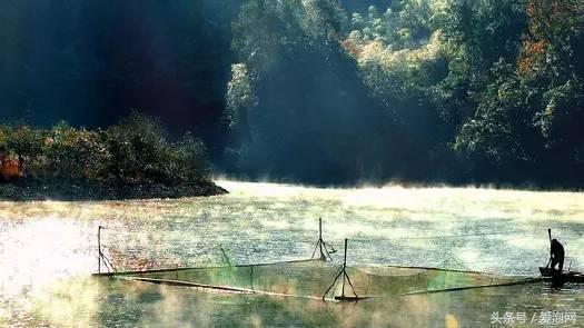 江浙沪深山老林旅游最好去处,清凉避暑好去处森林氧吧